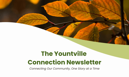 Yountville Connection (500 x 300 px) (1)