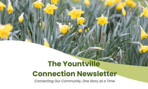 Yountville Connection (500 x 300 px)