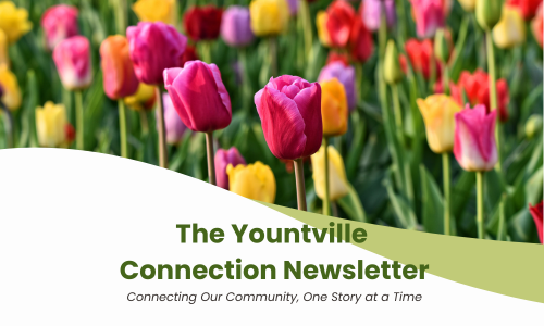 Yountville Connection (500 x 300 px)