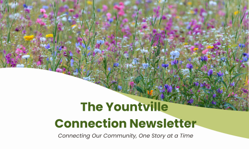 Yountville Connection April 4, 2025