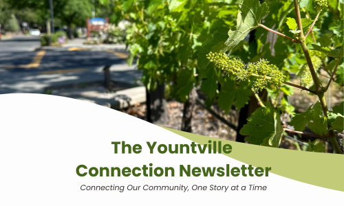 Yountville Connection (500 x 300 px) (8)