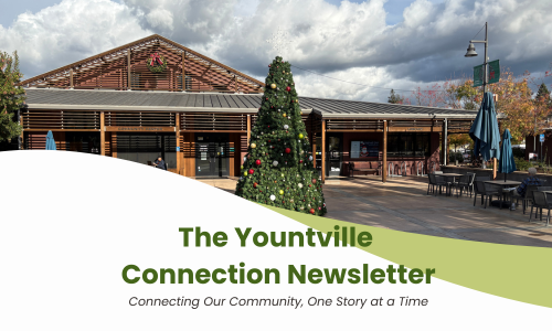 A decorated, Christmas tree in the Community Center Plaza during the holiday season.