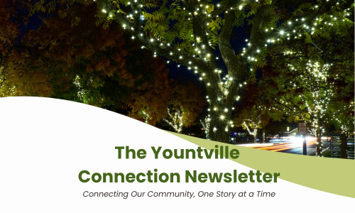 Nighttime view of a tree-lined street in Yountville with branches wrapped in white string lights.